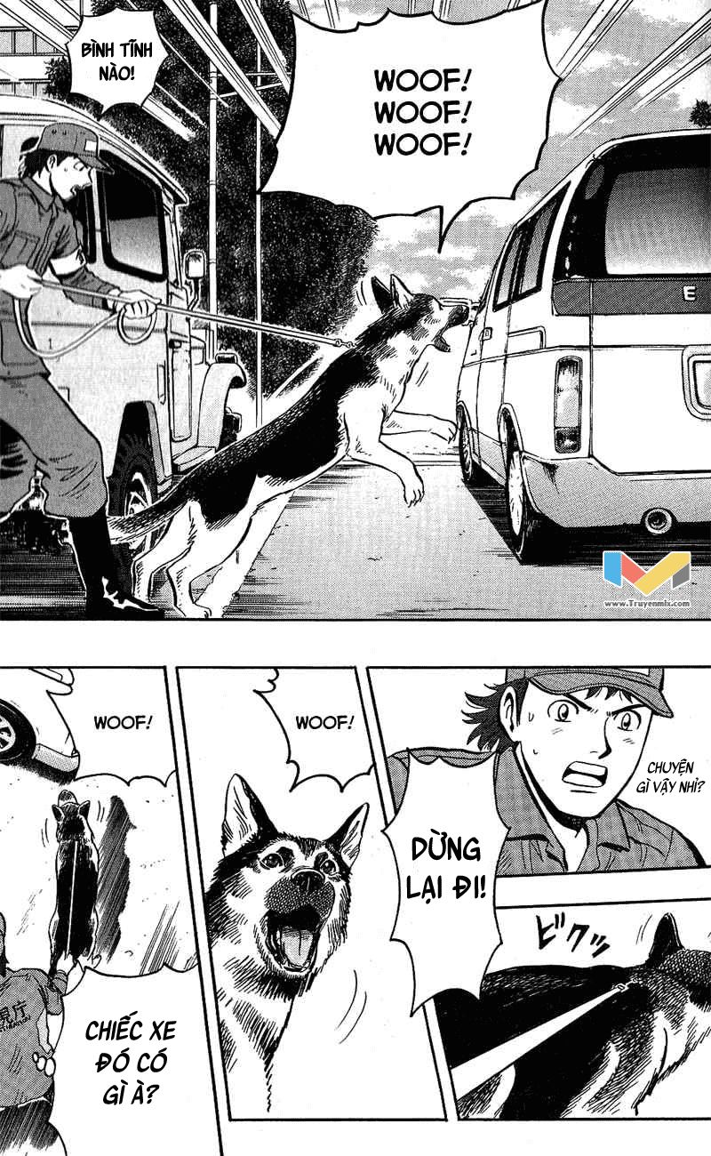 Animal Sense Chap 8 - Next Chap 9
