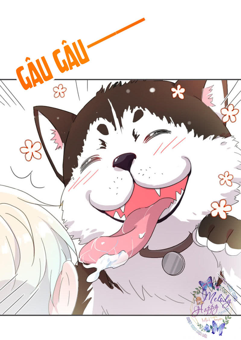Hoàn Mỹ Lão Công Tiến Hóa Luân Chap 8 - Next Chap 9