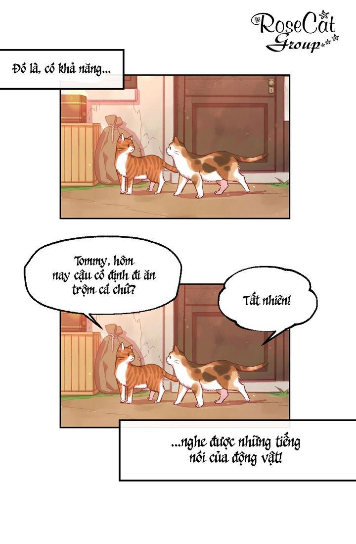 Cuộc Sống Giống Như Cô Gái Maria Lewellin Chap 0 - Next Chap 1