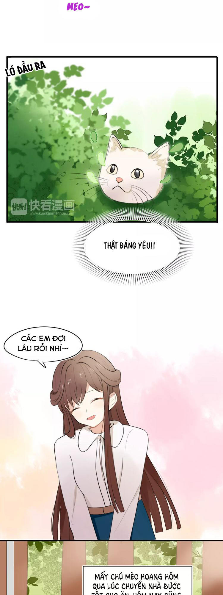 Tiểu Miêu Và Hắc Diệu Thạch Chap 1 - Next Chap 2