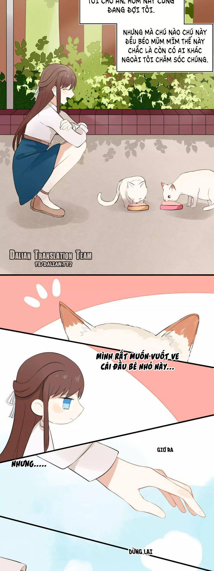 Tiểu Miêu Và Hắc Diệu Thạch Chap 1 - Next Chap 2