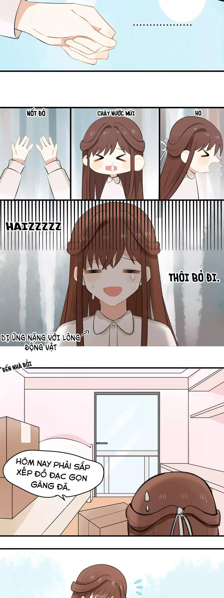 Tiểu Miêu Và Hắc Diệu Thạch Chap 1 - Next Chap 2