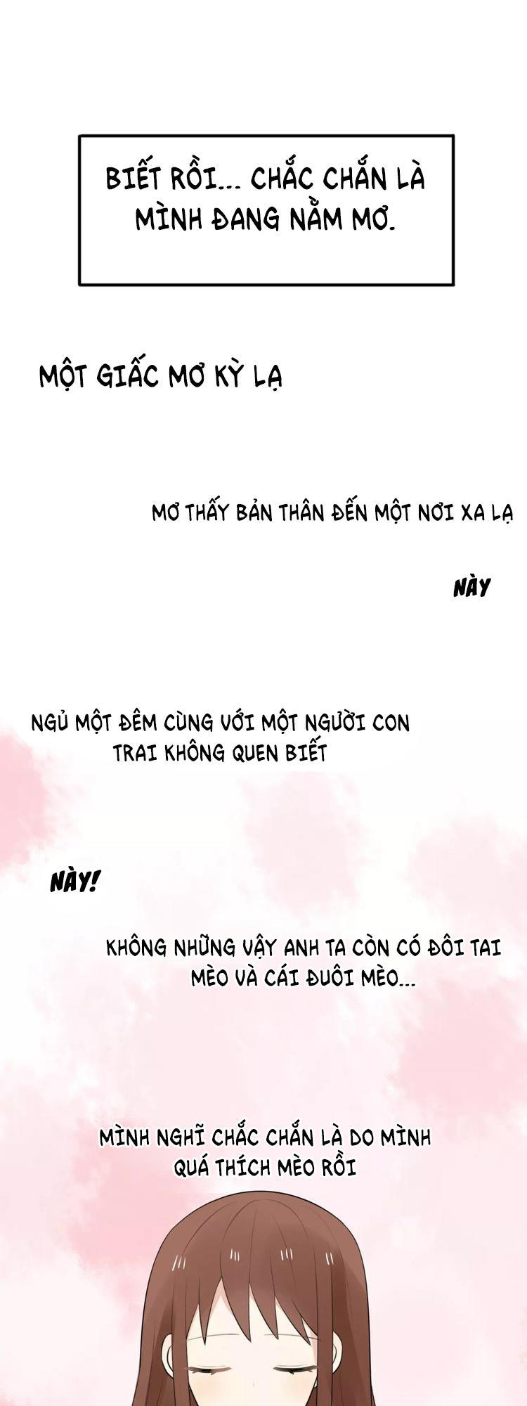 Tiểu Miêu Và Hắc Diệu Thạch Chap 1 - Next Chap 2