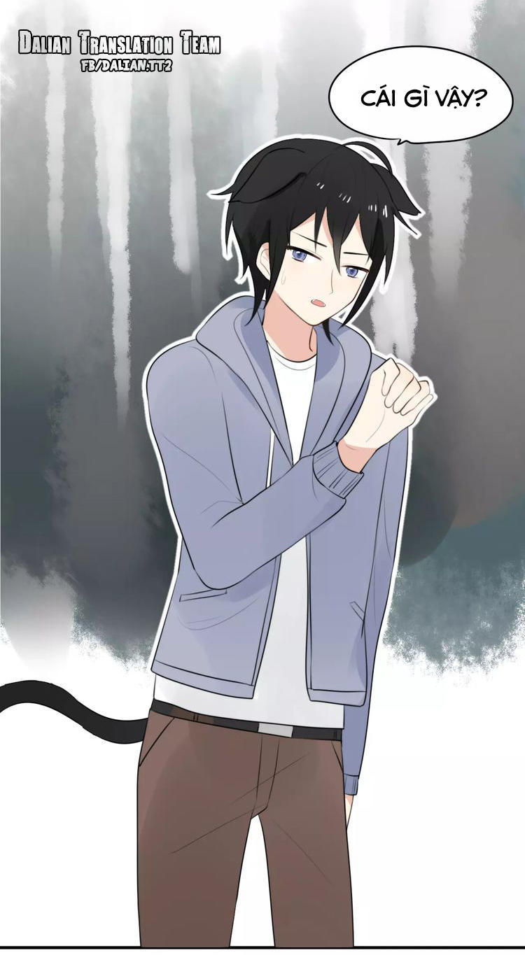 Tiểu Miêu Và Hắc Diệu Thạch Chap 1 - Next Chap 2