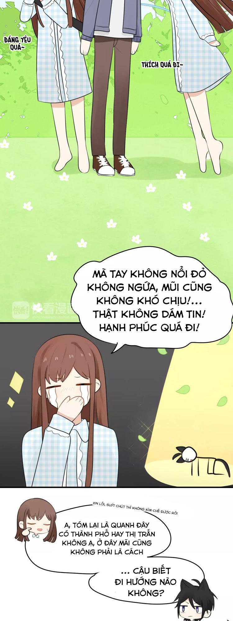 Tiểu Miêu Và Hắc Diệu Thạch Chap 1 - Next Chap 2