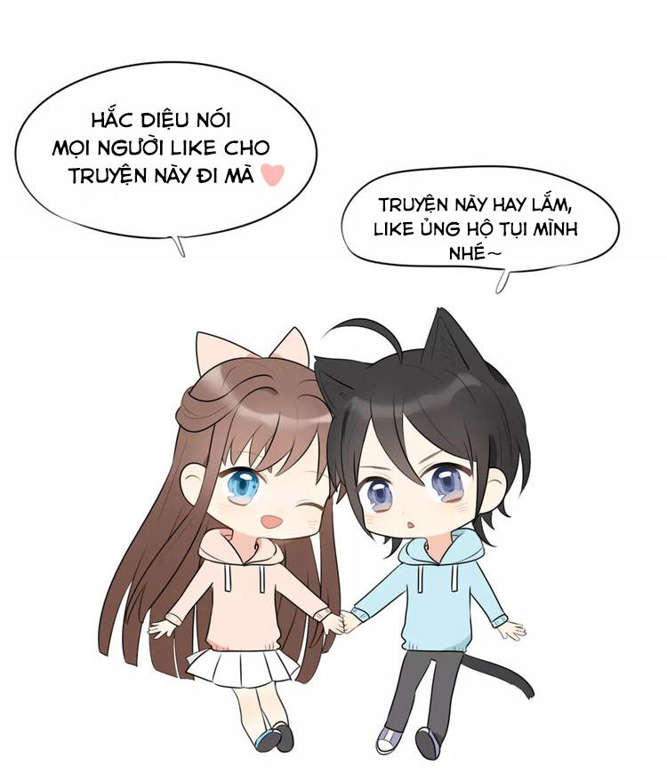 Tiểu Miêu Và Hắc Diệu Thạch Chap 1 - Next Chap 2