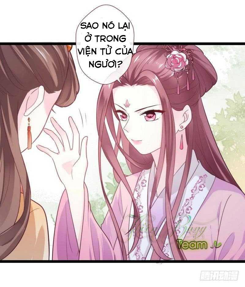 Vương Phi - Âm Động Thiên Hạ Chap 32 - Next Chap 33