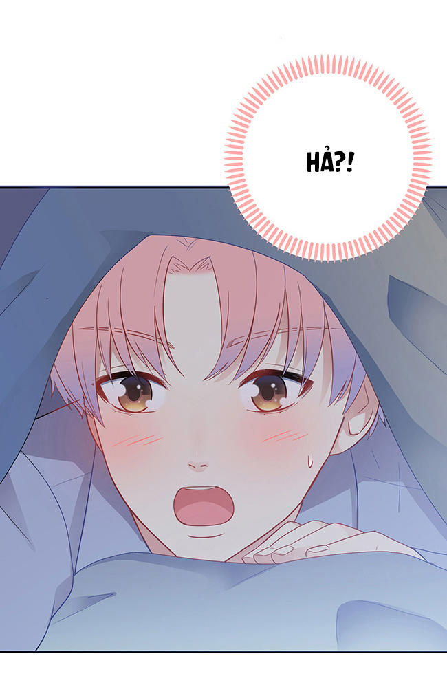 Phòng Ngủ 1001 Chap 1 - Next Chap 2