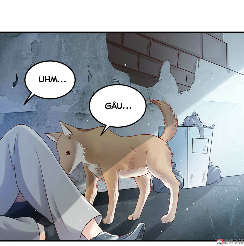 Tiểu Thịt Tươi, Đừng Chạy Chap 1 - Next Chap 2