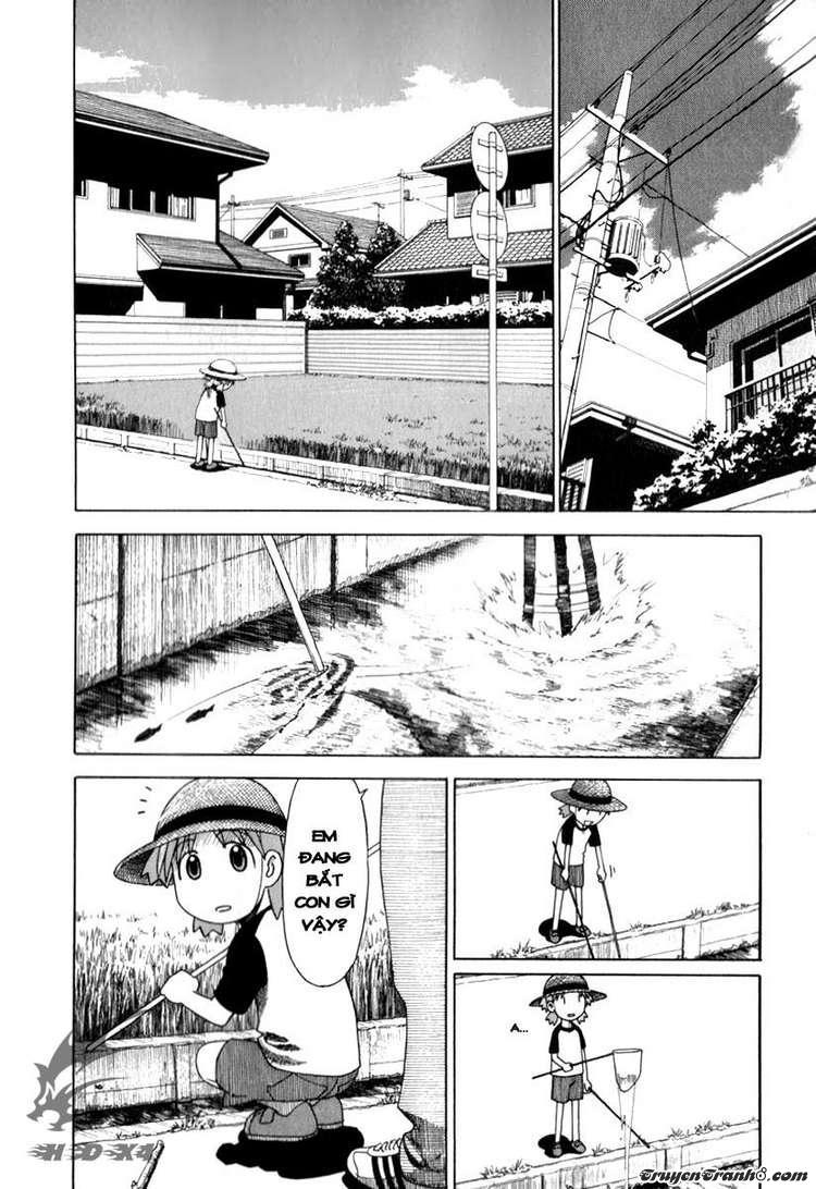 Yotsubato! - Trang 1