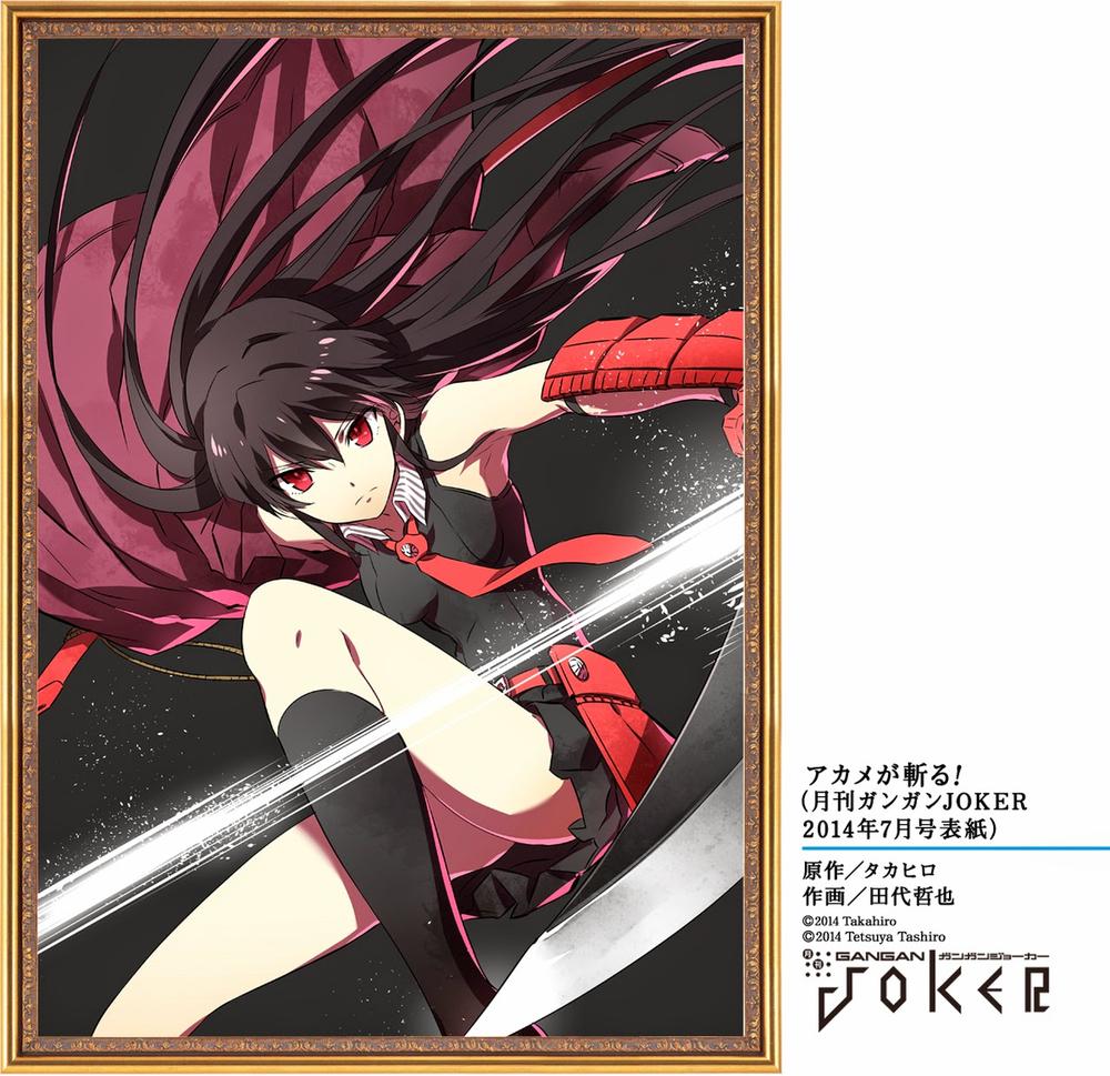 Akame Ga Kiru - Trang 2