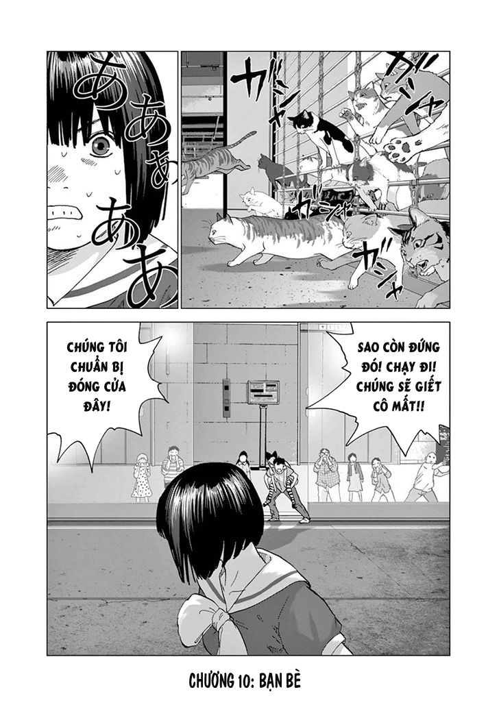 Vùng Đất Kì Diệu - Trang 10