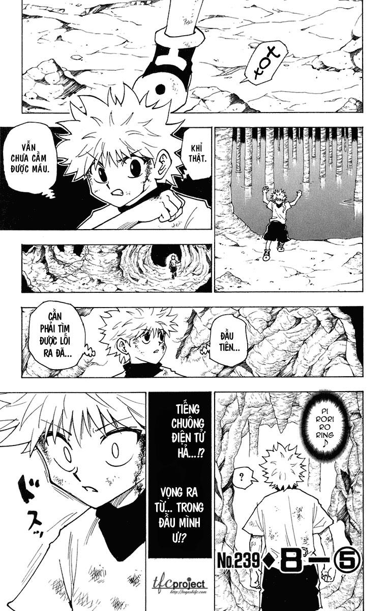 Hunter X Hunter - Trang 1