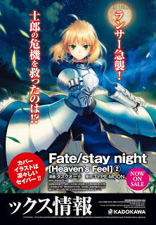 Fate/Stay Night Heaven