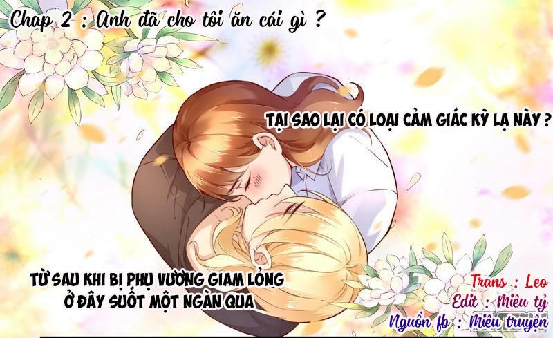 Huyết Tộc Điện Hạ Xin Đừng Cắn Tôi - Trang 1