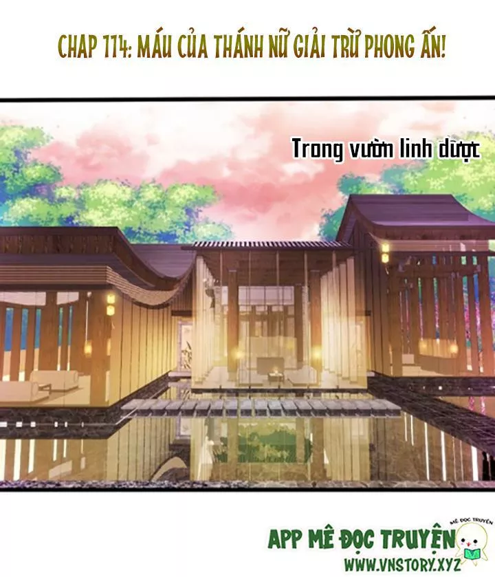 Huyết Tộc Đáng Yêu - Trang 1