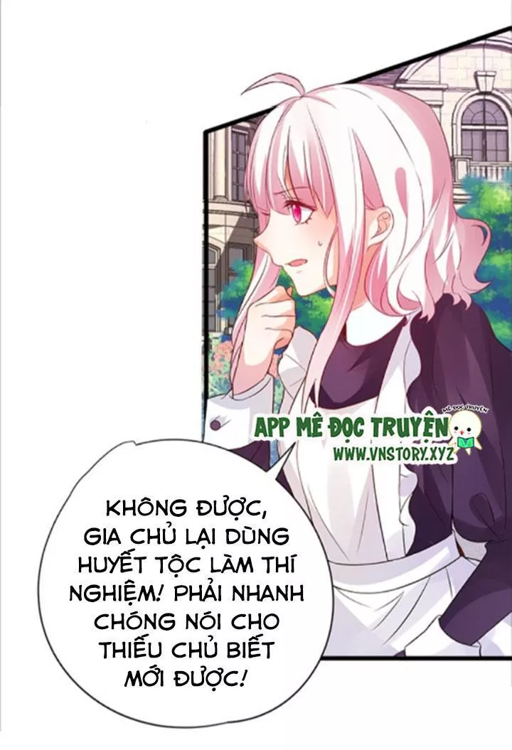 Huyết Tộc Đáng Yêu - Trang 1