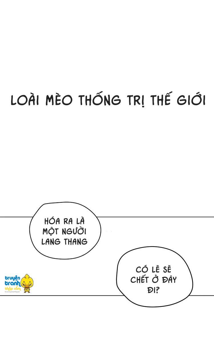 Cứu Mạng! Loài Mèo Thống Trị Thế Giới Rồi! - Trang 2