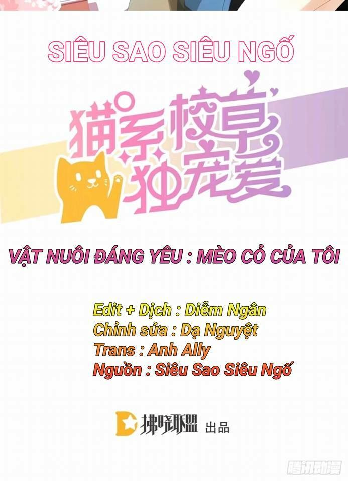 Vật Nuôi Đáng Yêu: Mèo Cỏ Của Tôi - Trang 1