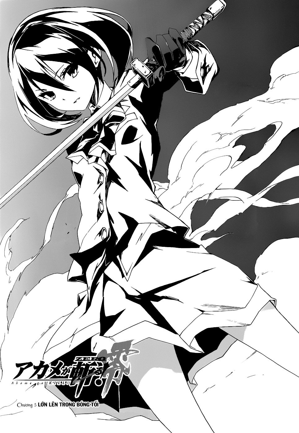 Akame Ga Kill! Zero - Trang 2