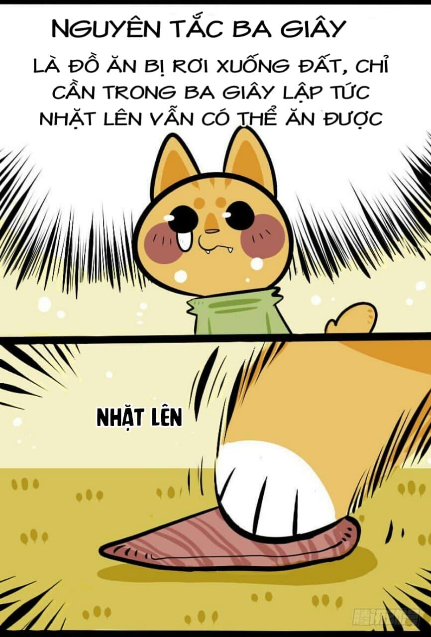 Đời Không Như Mình Tưởng - Trang 7