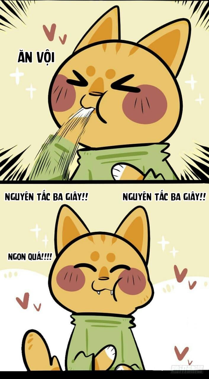 Đời Không Như Mình Tưởng - Trang 8