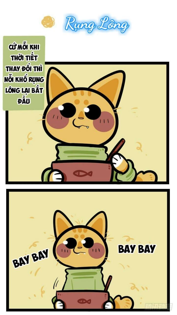 Đời Không Như Mình Tưởng - Trang 2