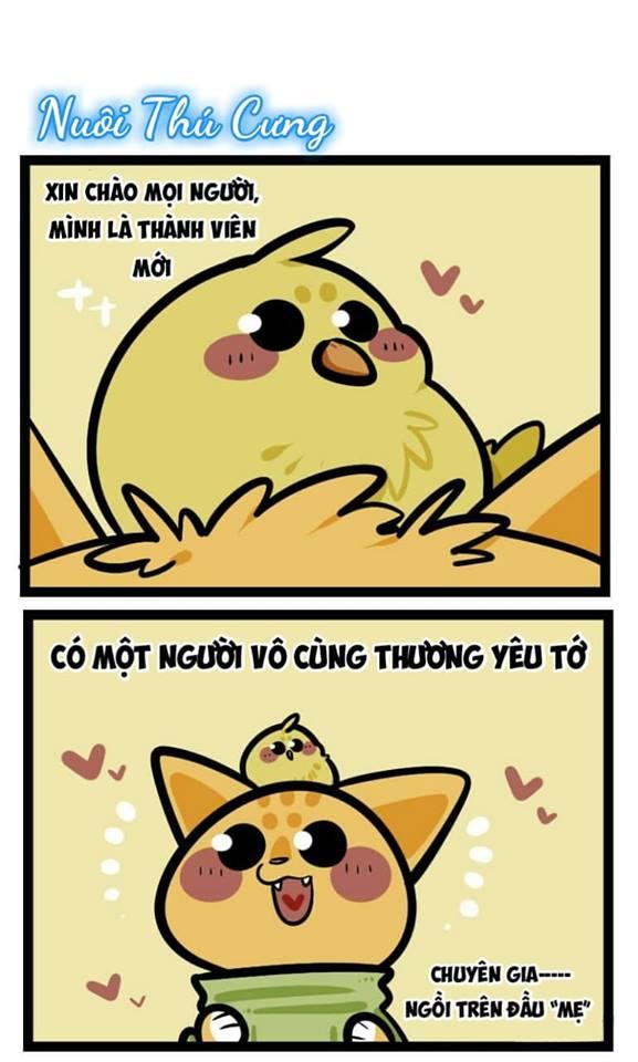 Đời Không Như Mình Tưởng - Trang 2