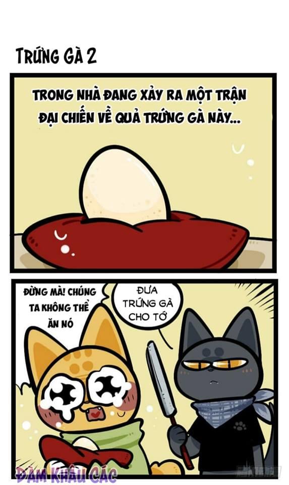 Đời Không Như Mình Tưởng - Trang 2