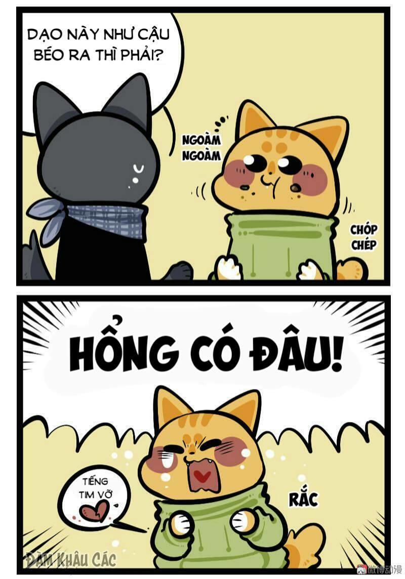 Đời Không Như Mình Tưởng - Trang 3