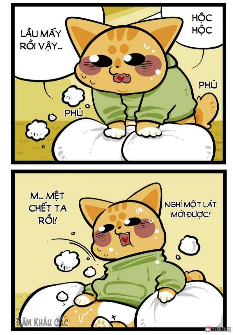 Đời Không Như Mình Tưởng - Trang 7