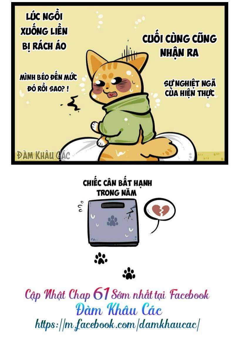 Đời Không Như Mình Tưởng - Trang 1