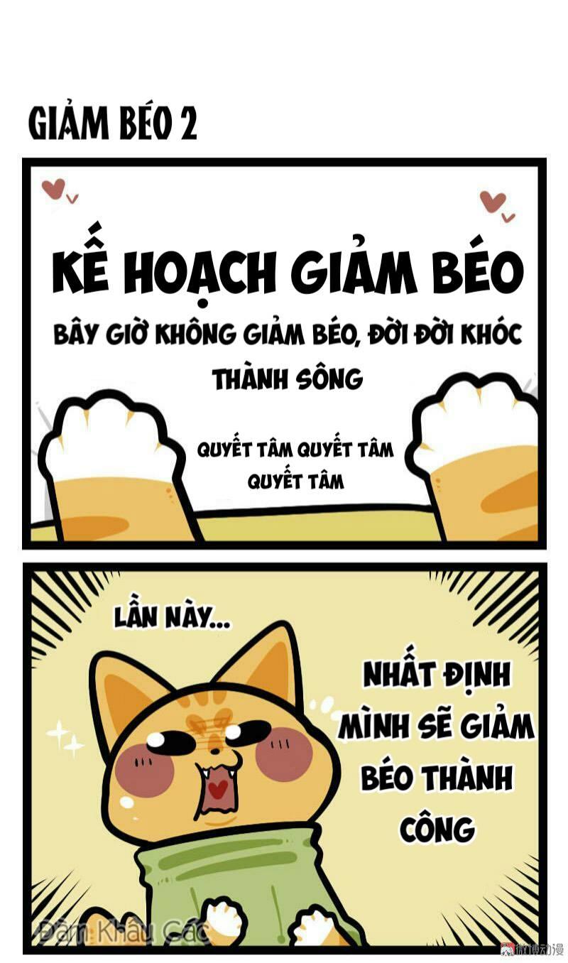 Đời Không Như Mình Tưởng - Trang 3