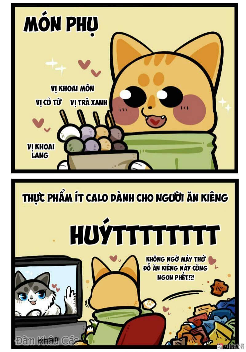 Đời Không Như Mình Tưởng - Trang 6