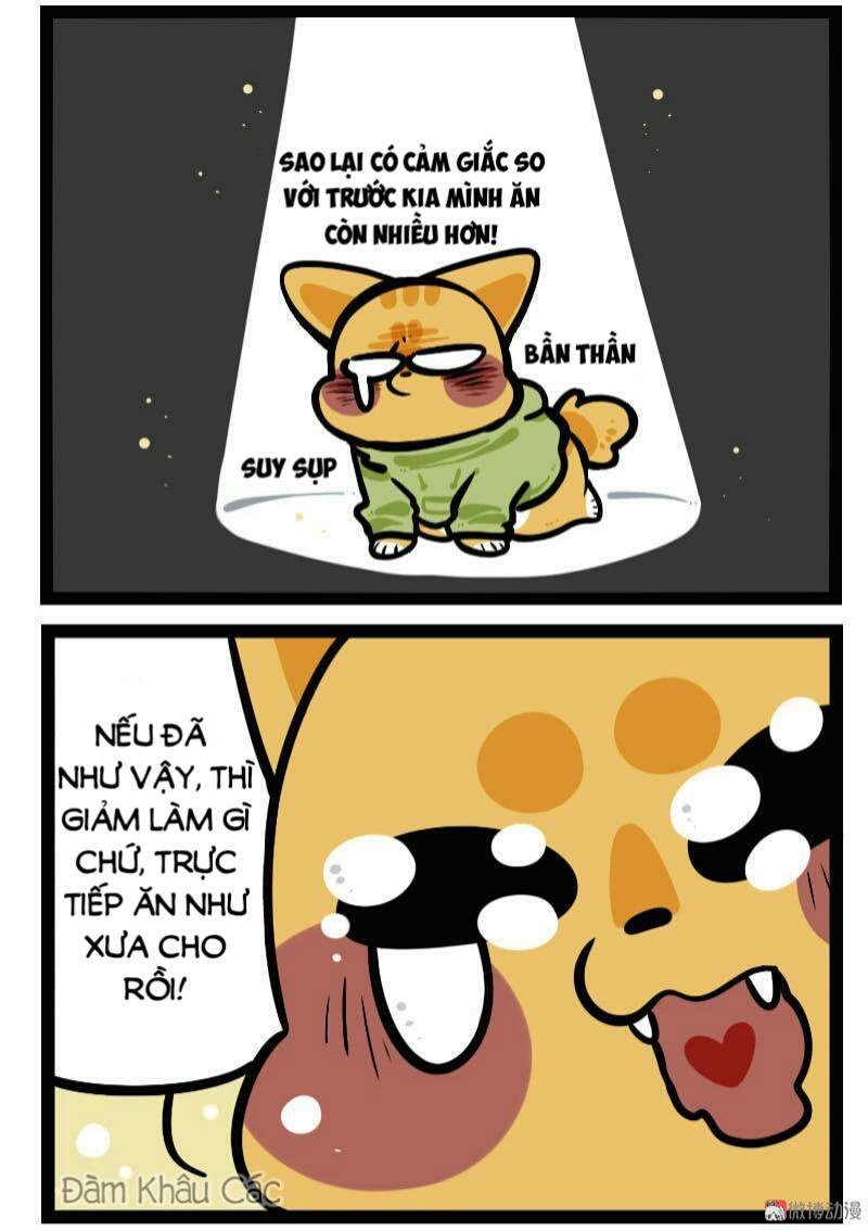 Đời Không Như Mình Tưởng - Trang 7