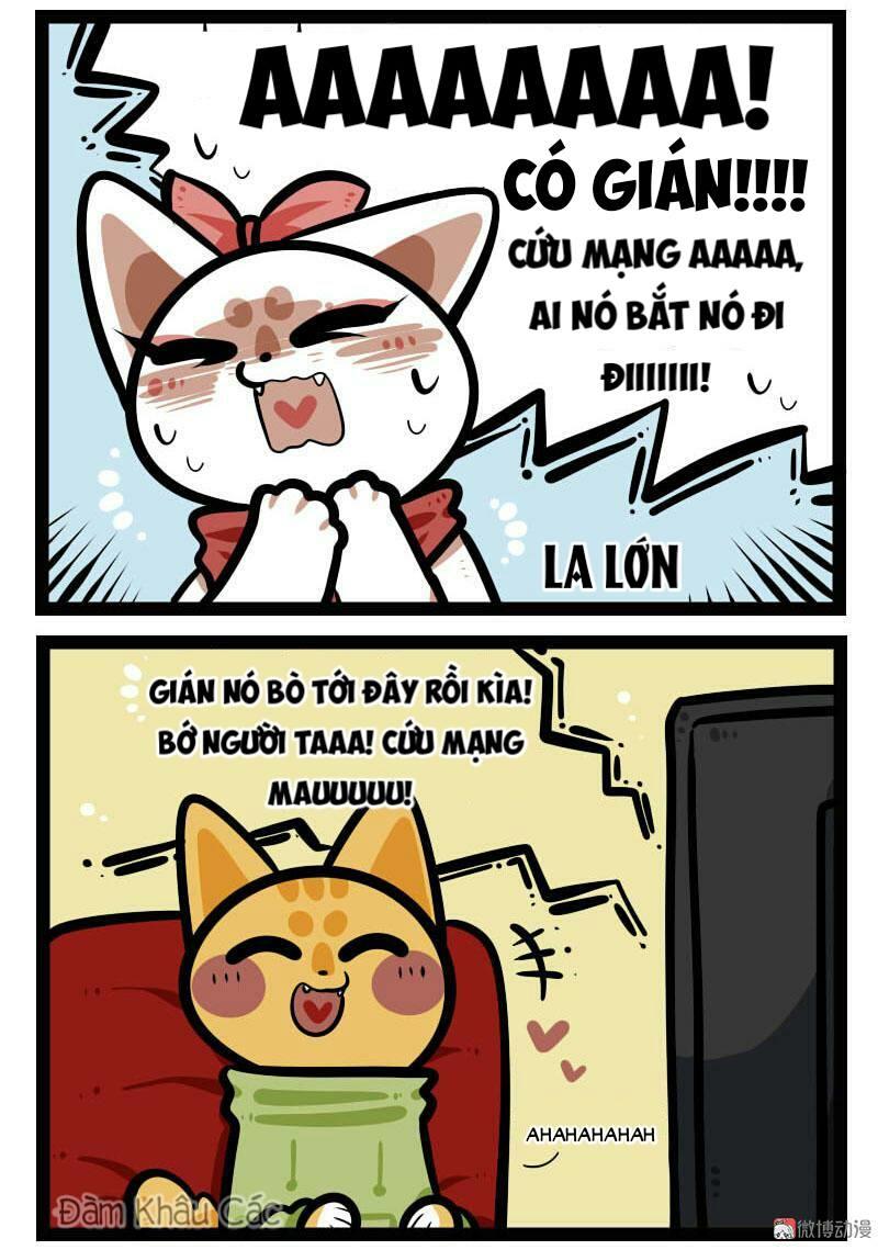 Đời Không Như Mình Tưởng - Trang 3