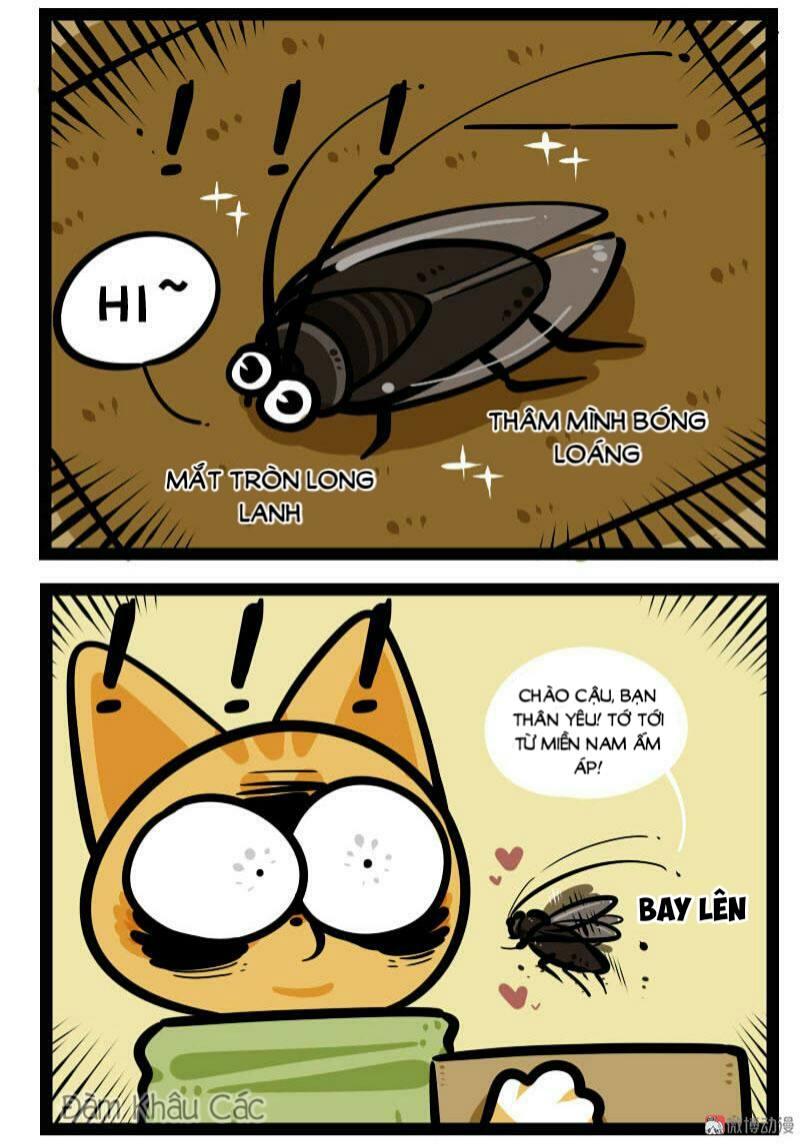 Đời Không Như Mình Tưởng - Trang 7
