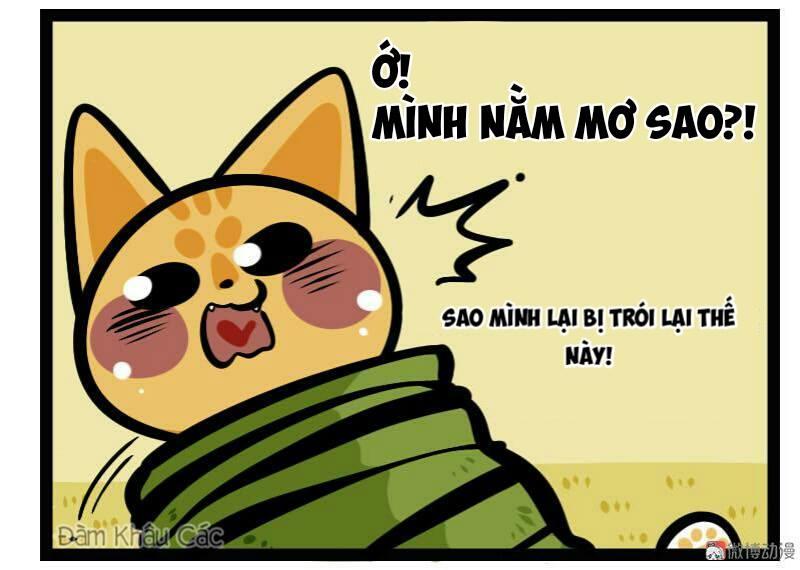 Đời Không Như Mình Tưởng - Trang 10