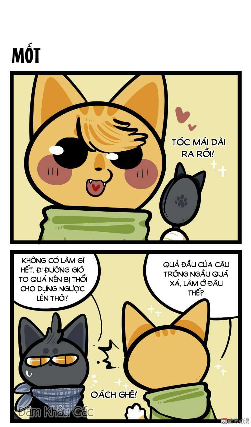 Đời Không Như Mình Tưởng - Trang 2