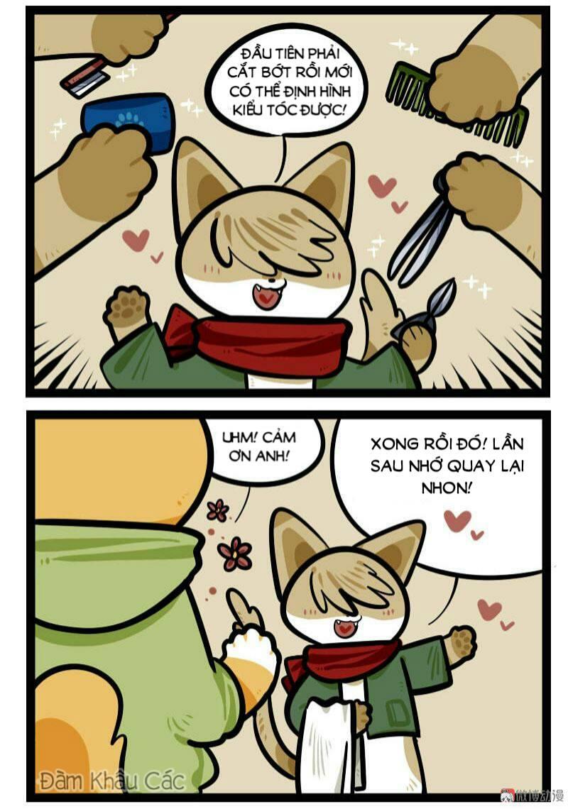 Đời Không Như Mình Tưởng - Trang 5
