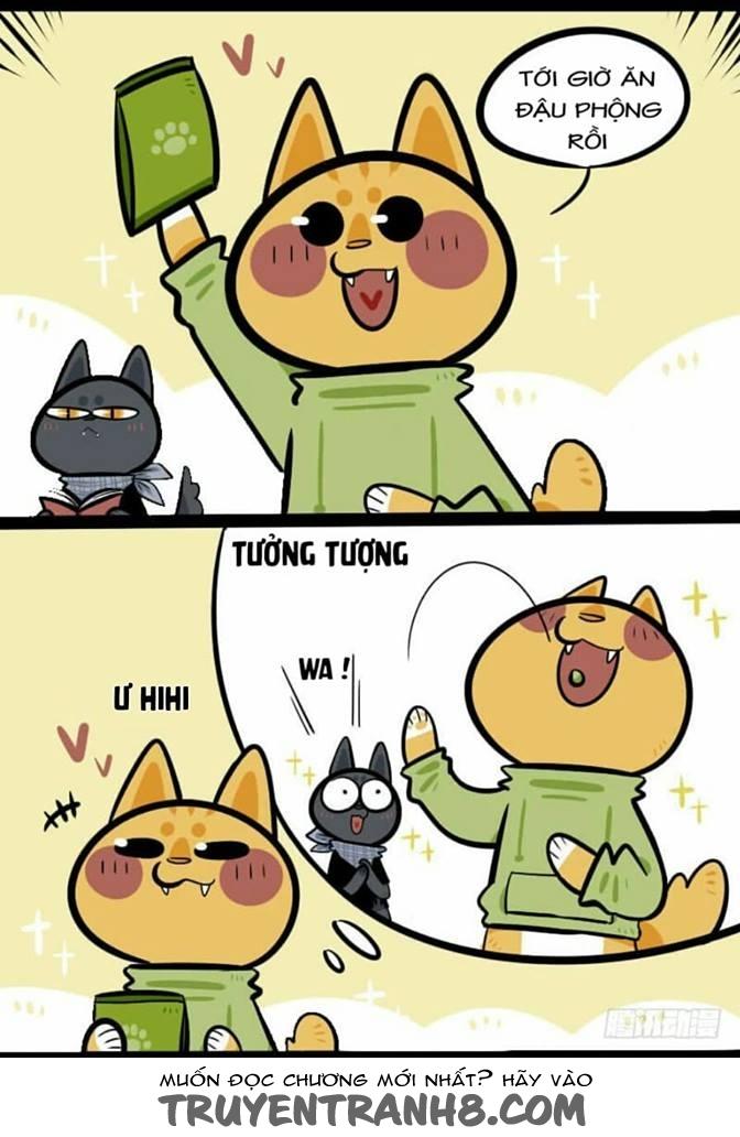 Đời Không Như Mình Tưởng - Trang 2