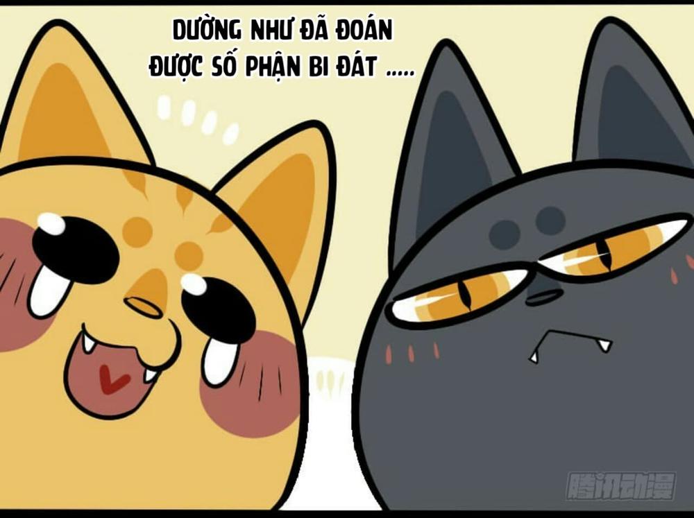 Đời Không Như Mình Tưởng - Trang 8