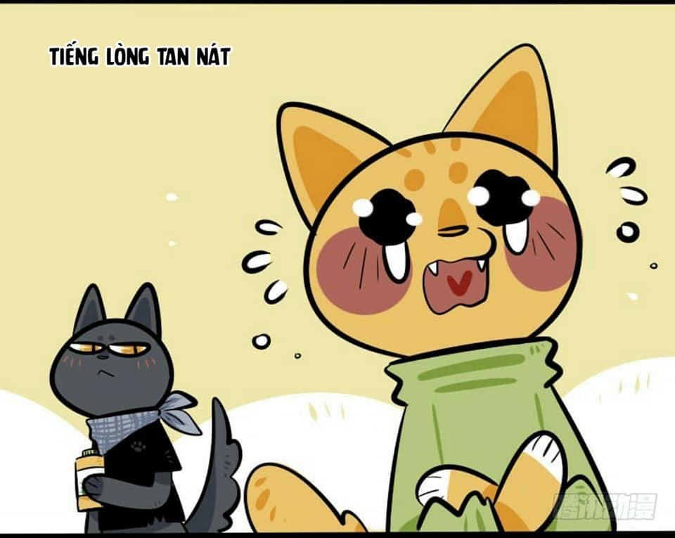 Đời Không Như Mình Tưởng - Trang 12