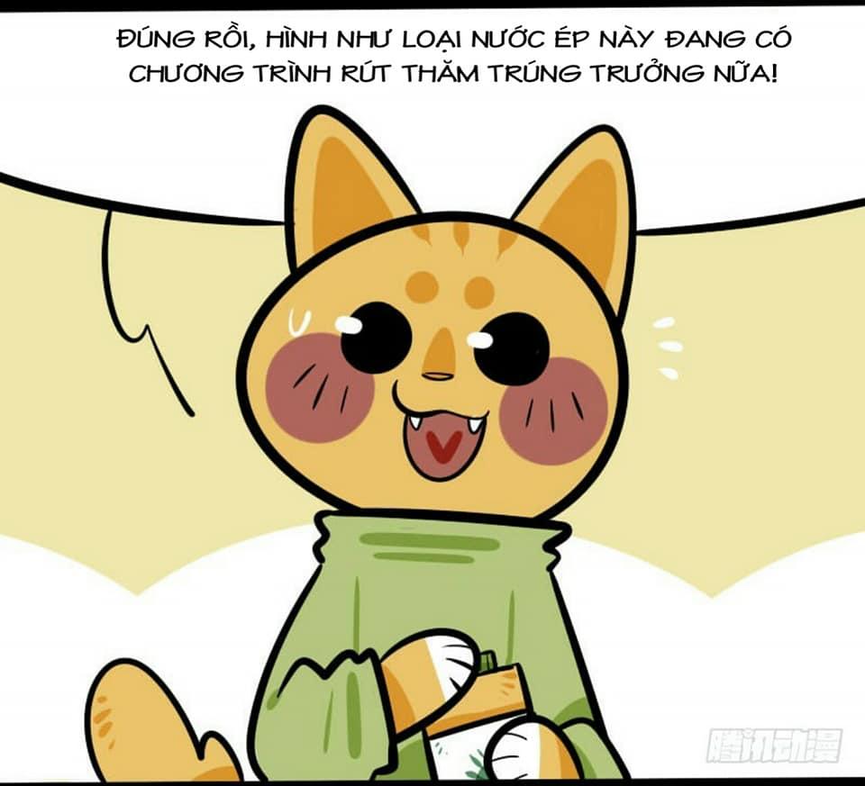 Đời Không Như Mình Tưởng - Trang 5