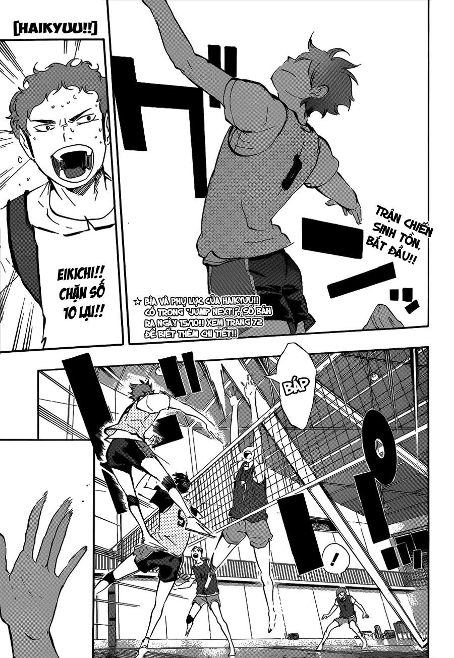 Haikyuu - Trang 1