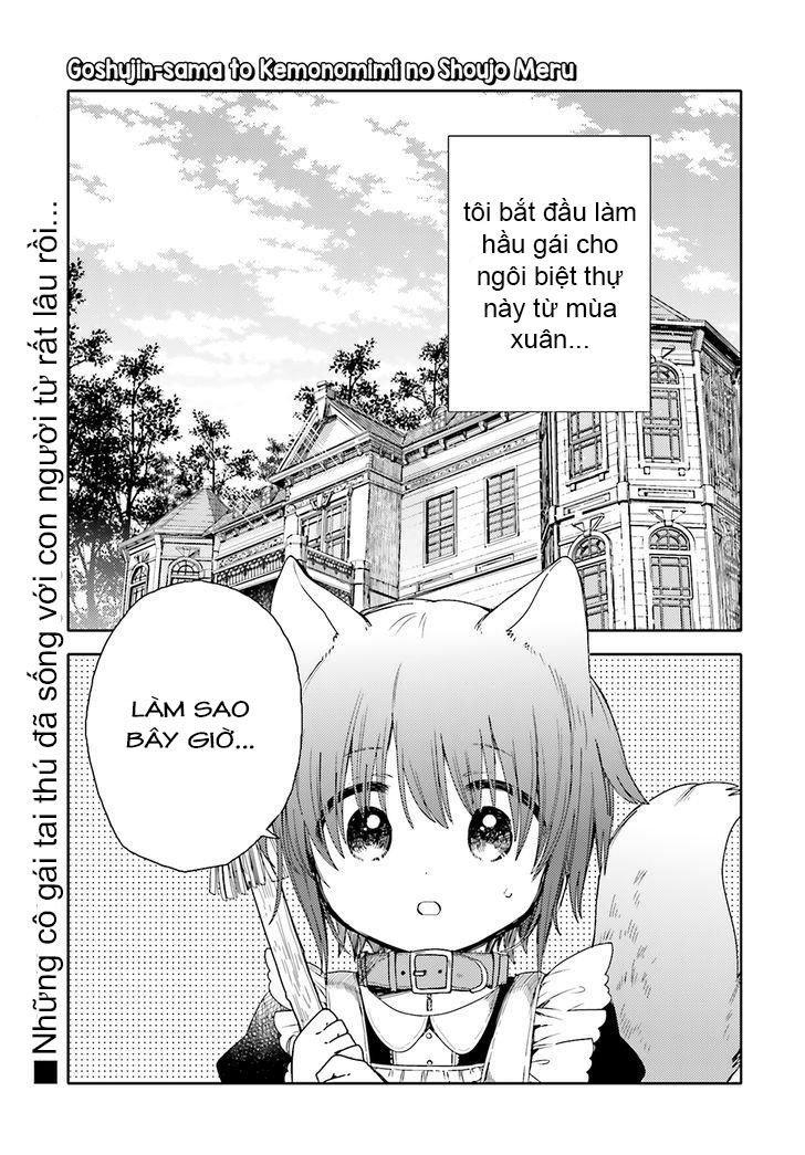 Goshujin-Sama To Kemonomimi No Shoujo Meru - Trang 1