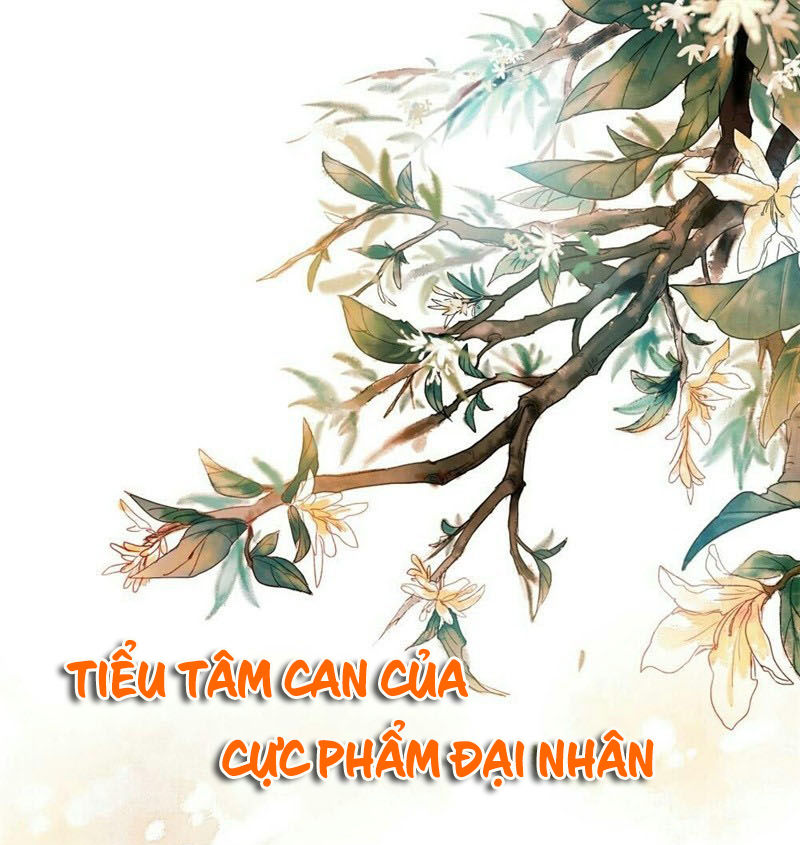 Tiểu Tâm Can Của Cực Phẩm Đại Nhân - Trang 1